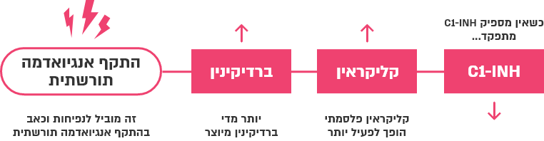 אנגיואדמה תורשתית